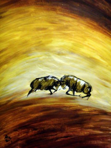 combat de moutons